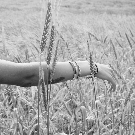 Schwarz- weiß Foto: Ein Kornfeld mit einem Menschen links, von dem man jedoch nur den Arm sieht