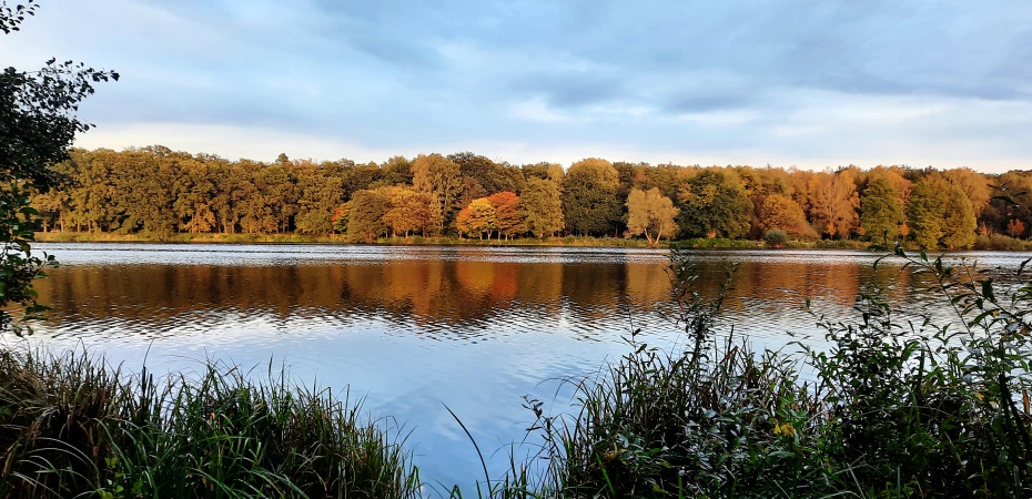See im Herbst, auf dessen Oberfläche sich die bunten Bäume aus dem Hintergrund spiegeln